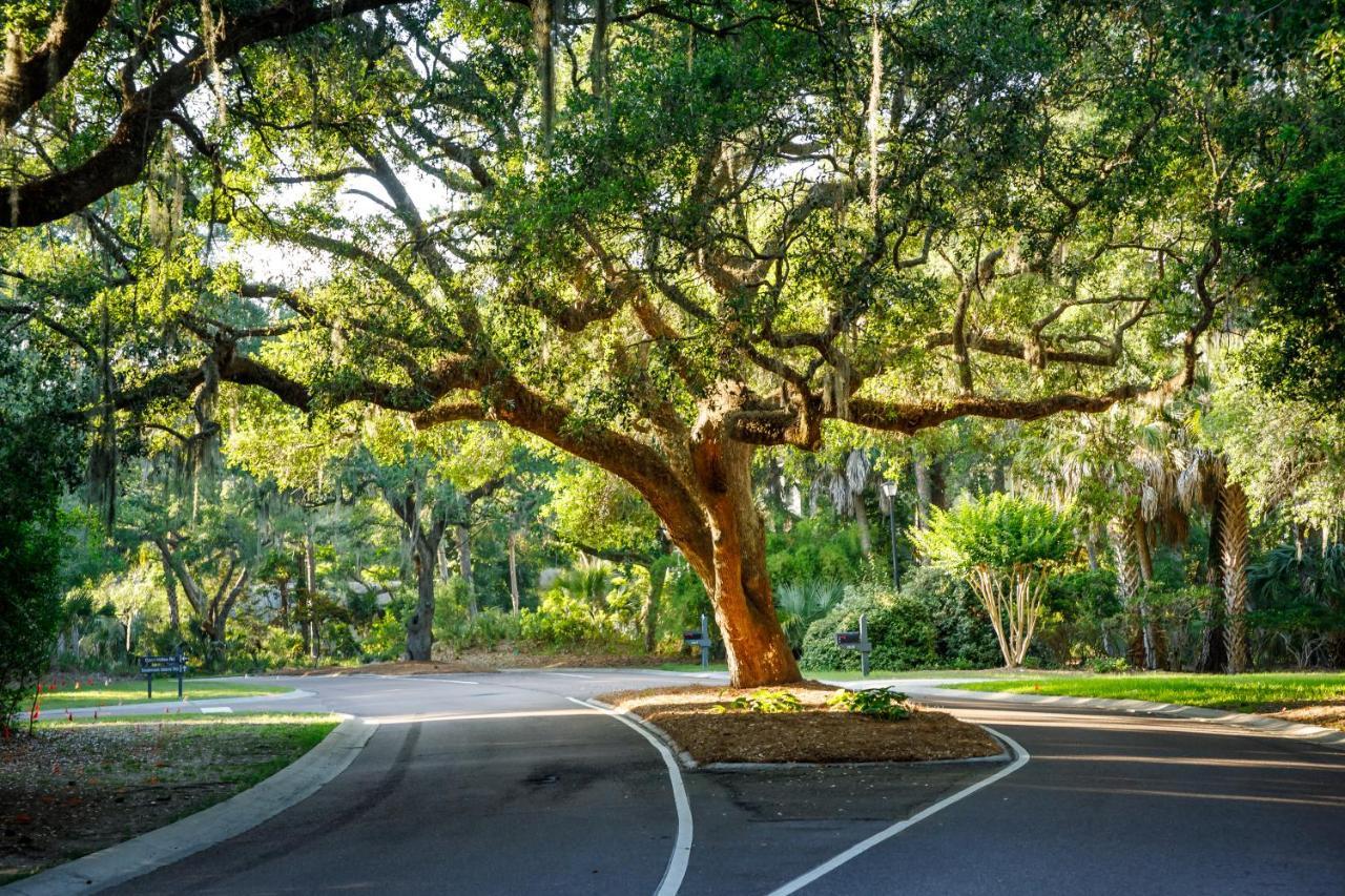 1313 Pelican Watch - Seabrook Island - Beachfront 5 Star Condo - Fido Friendly Exterior foto