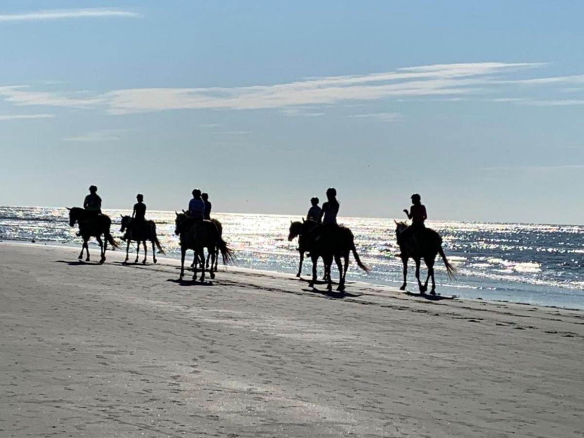 1313 Pelican Watch - Seabrook Island - Beachfront 5 Star Condo - Fido Friendly Exterior foto